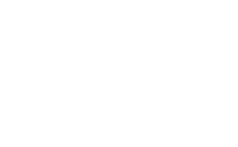 Elmhurst Ballet School